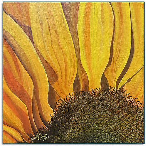Qtr Sunflower